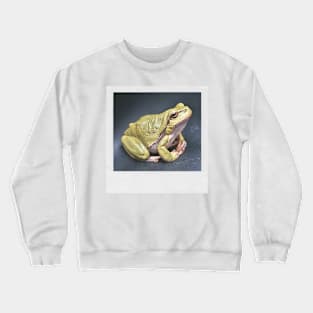 Meditating Frog Cute Photograph Peace & Love Picture Crewneck Sweatshirt